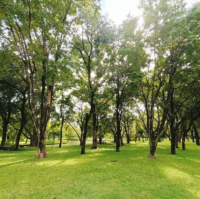 Suan luang park Rama IX 