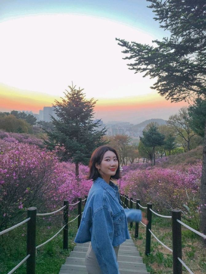 부천 원미산 진달래축제🌸 | 트립닷컴 부천 부천 원미산 진달래축제🌸 | 트립닷컴 부천 