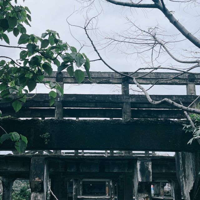 秋天阿根納，像電影一樣動人！