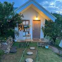 JINJU the orange farm “สวนส้มจินจู” 🍊🌳🧡🍃
