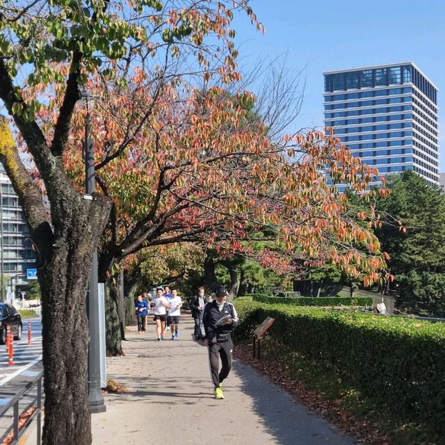 The East Gardens of the Imperial Palace