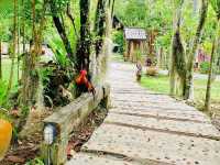 วังน้ำเขียว สวิสเซอร์แลนด์แดนอีสาน