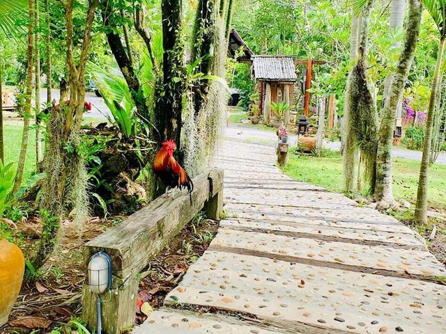 วังน้ำเขียว สวิสเซอร์แลนด์แดนอีสาน วังน้ำเขียว สวิสเซอร์แลนด์แดนอีสาน