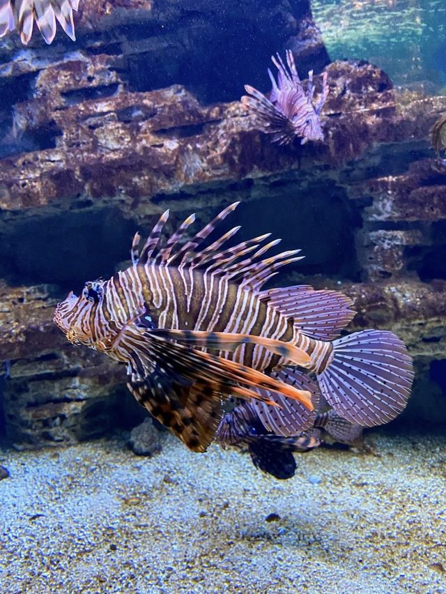 CretAquarium - Crete Island, Greece