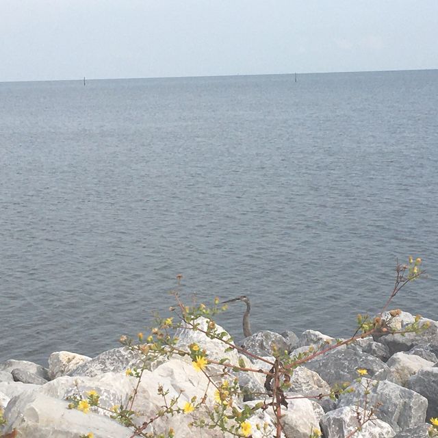 Gulfport Ms Beaches 