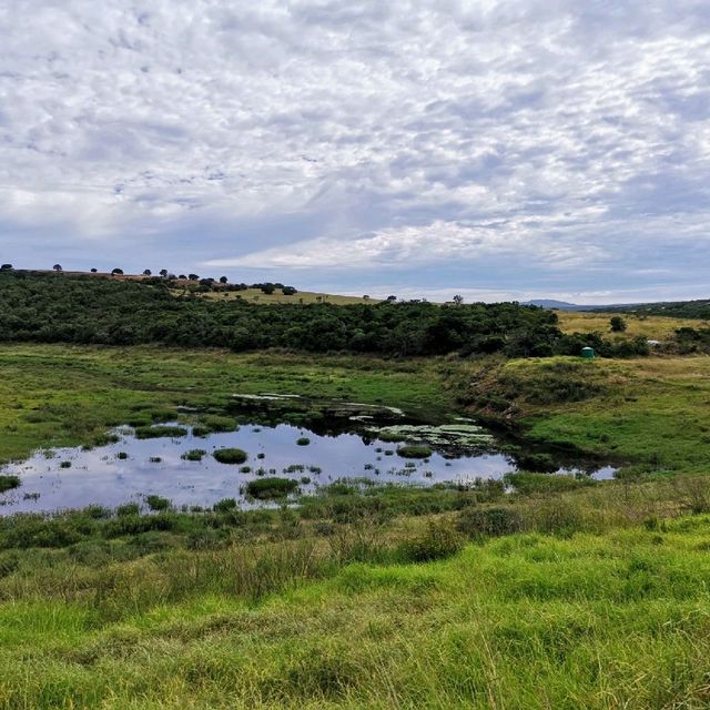 Two River Hiking Trails
