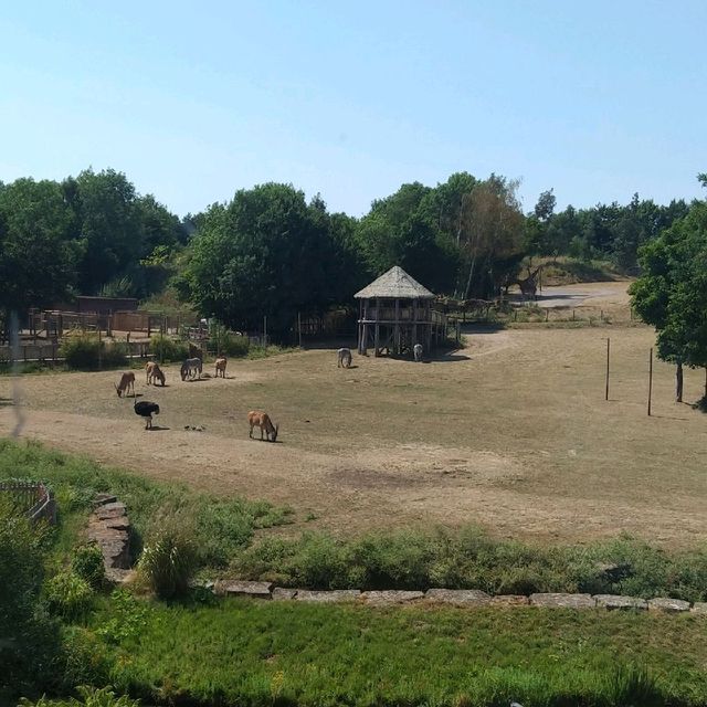 Chessington Safari Hotel