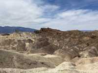 Alive in Death Valley
