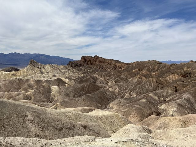 Alive in Death Valley