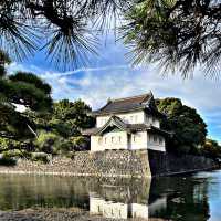 Regards from the Imperial Palace Garden