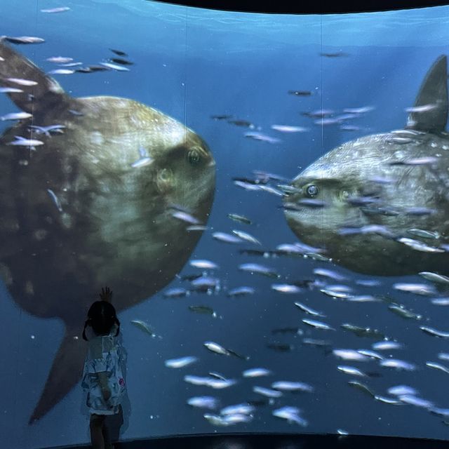 Chongqing Science and Technology museum 
