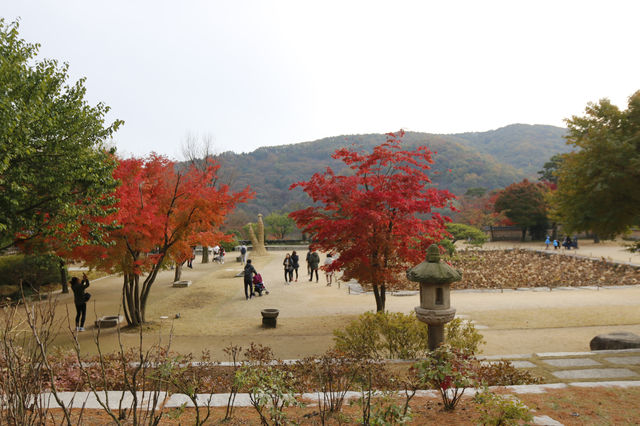 용인 호암미술관 산책하며 계절을 느껴요