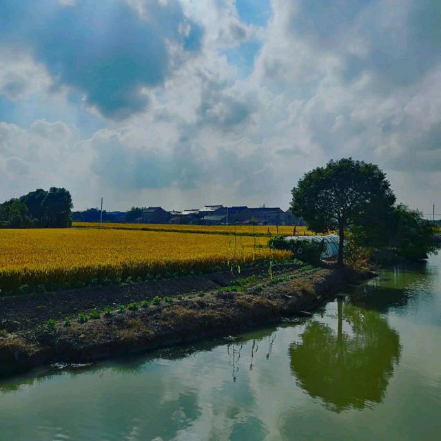 Cycling to Dishui lake 🚴 🇨🇳 Shanghai