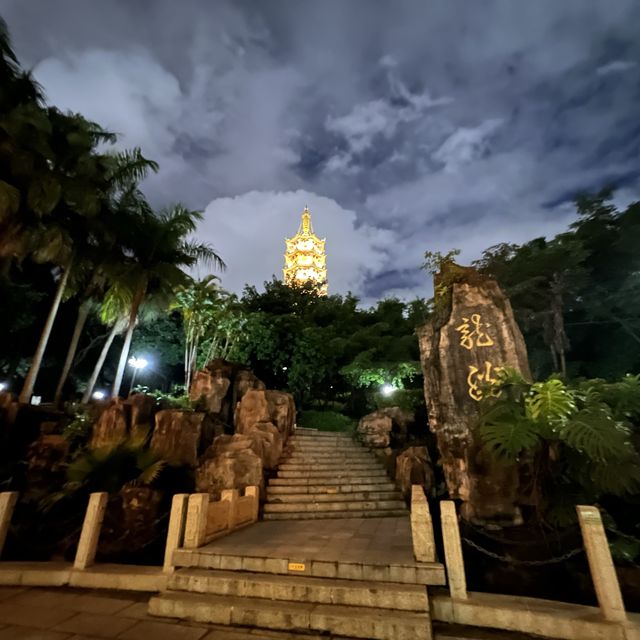 打卡深圳龍華公園的夜景