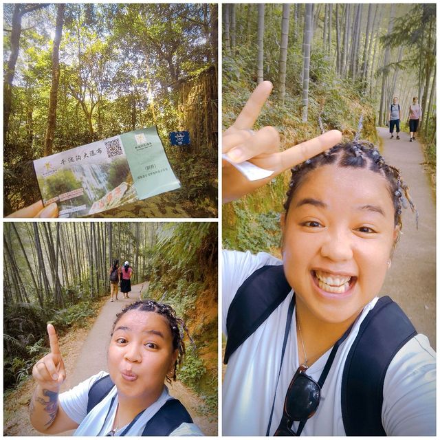 Hiking up through Bamboo Forest 🤟