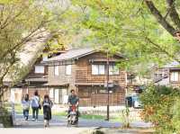 世界文化遺產日本合掌村