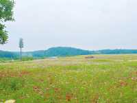 Hubei Mulan Grassland | A great place for leisure and play