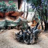 Didn't expect Portugal to have such a great zoo experience.