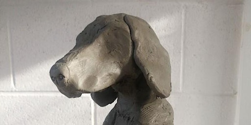 Sculpt Your Pet (8-12 years) | Flowerfield Arts Centre