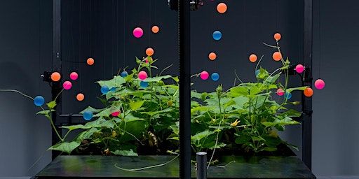 Technology and Plants || ARTSCIENCE Dialogue IV | VU Art Science Gallery, De Boelelaan, Amsterdam, Netherlands