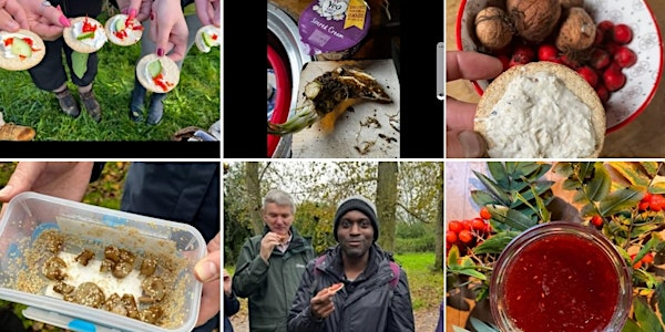 Autumn Foraging With Tapas @ Blue Lagoon MK | Blue Lagoon Lake and Nature Reserve