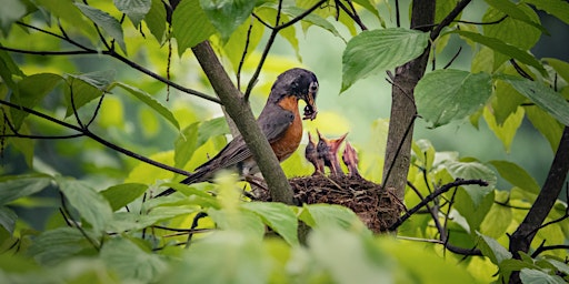 Photo Walk (5/16) | Jenkins Arboretum & Gardens