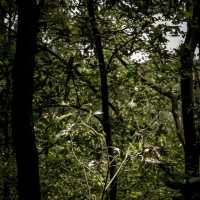 Taman Wisata Gunung Pancar
