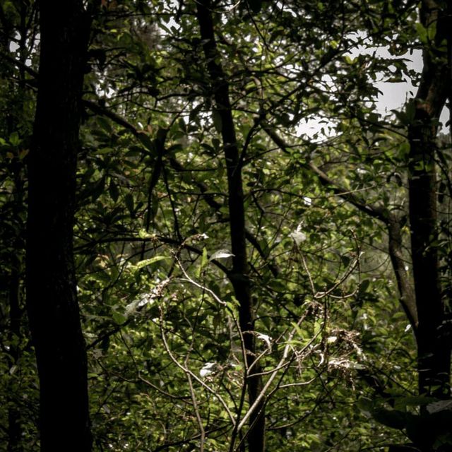 Taman Wisata Gunung Pancar