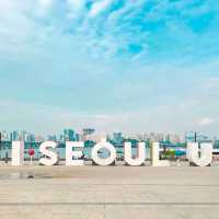 산책하기 좋은 서울 여의도한강공원