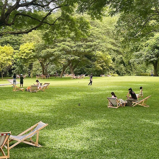 | Mulberry Mellow (มัลเบอร์รี่ เมลโล่)🏡🌳
