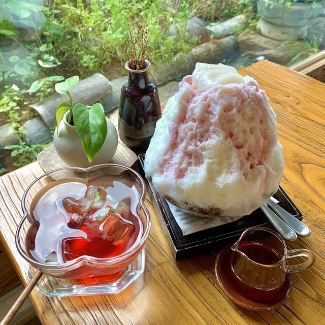 [🇰🇷, 서울] 북촌한옥마을 분위기 맛집 카페, 차마시는뜰 🍵🫖