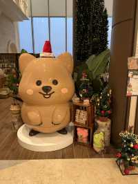 대전 쿼카팝업스토어 [젤리크루 x 영이의숲]