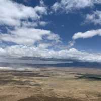 Wildlifes at their best, Ngorongoro
