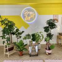《☕️中大隱世cafe🌱超寫意環境💖》