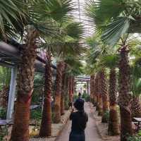 궁평항에 야자수 카페가 ?! 🌴