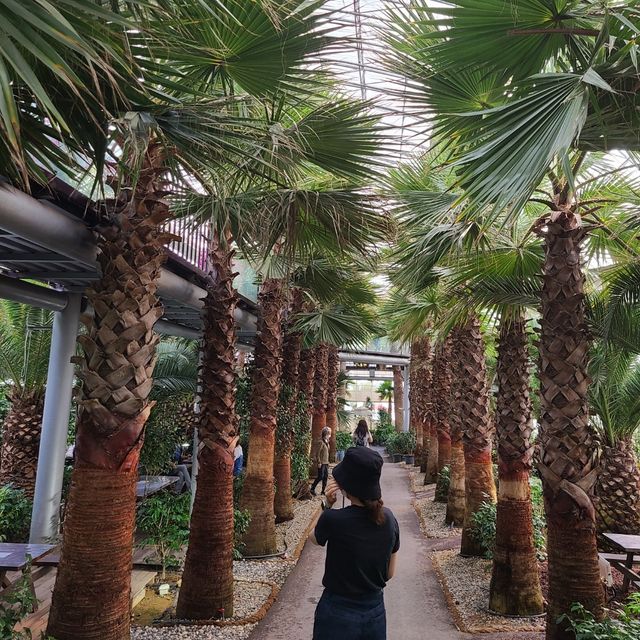 궁평항에 야자수 카페가 ?! 🌴
