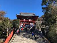 【神奈川・鎌倉】鶴岡八幡宮