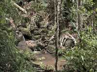เที่ยวน้ำตก รับลมเย็นในภูเก็ตกัน