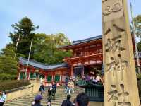 京都　SAKURA 桜めぐり❗️八坂神社の桜に感動❗️
