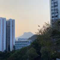 走秘道挑戰香港「三尖」之釣魚翁