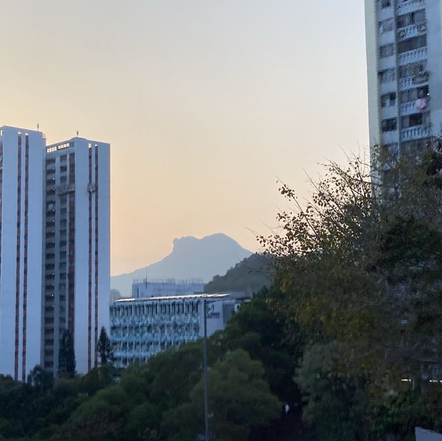 走秘道挑戰香港「三尖」之釣魚翁
