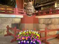 奈良　SAKURA 桜めぐり❗️東大寺大仏殿と桜のコラボに感動！