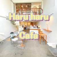 HARU HARU CAFE 🧋🥤