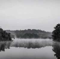 เขตรักษาพันธุ์สัตว์ป่าภูเขียว 