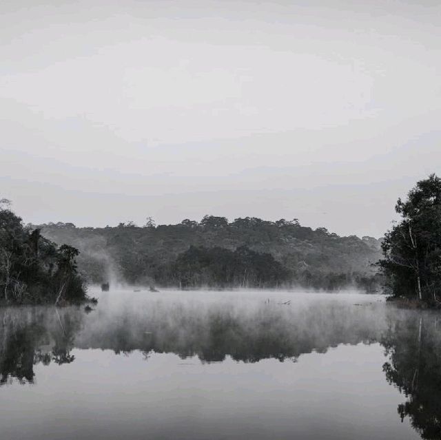 เขตรักษาพันธุ์สัตว์ป่าภูเขียว 