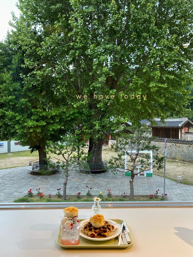 피톤치드 나무 액자 뷰 행궁동 ‘위해브 투데이’ 🌳