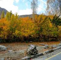 Autumn In Kargil, India