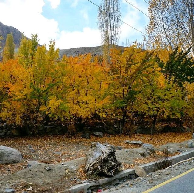 Autumn In Kargil, India