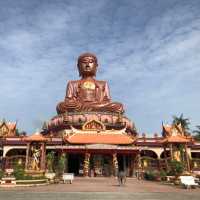 The Sitting Buddha