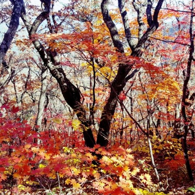 Trip to Seoraksan (Mount Seorak)